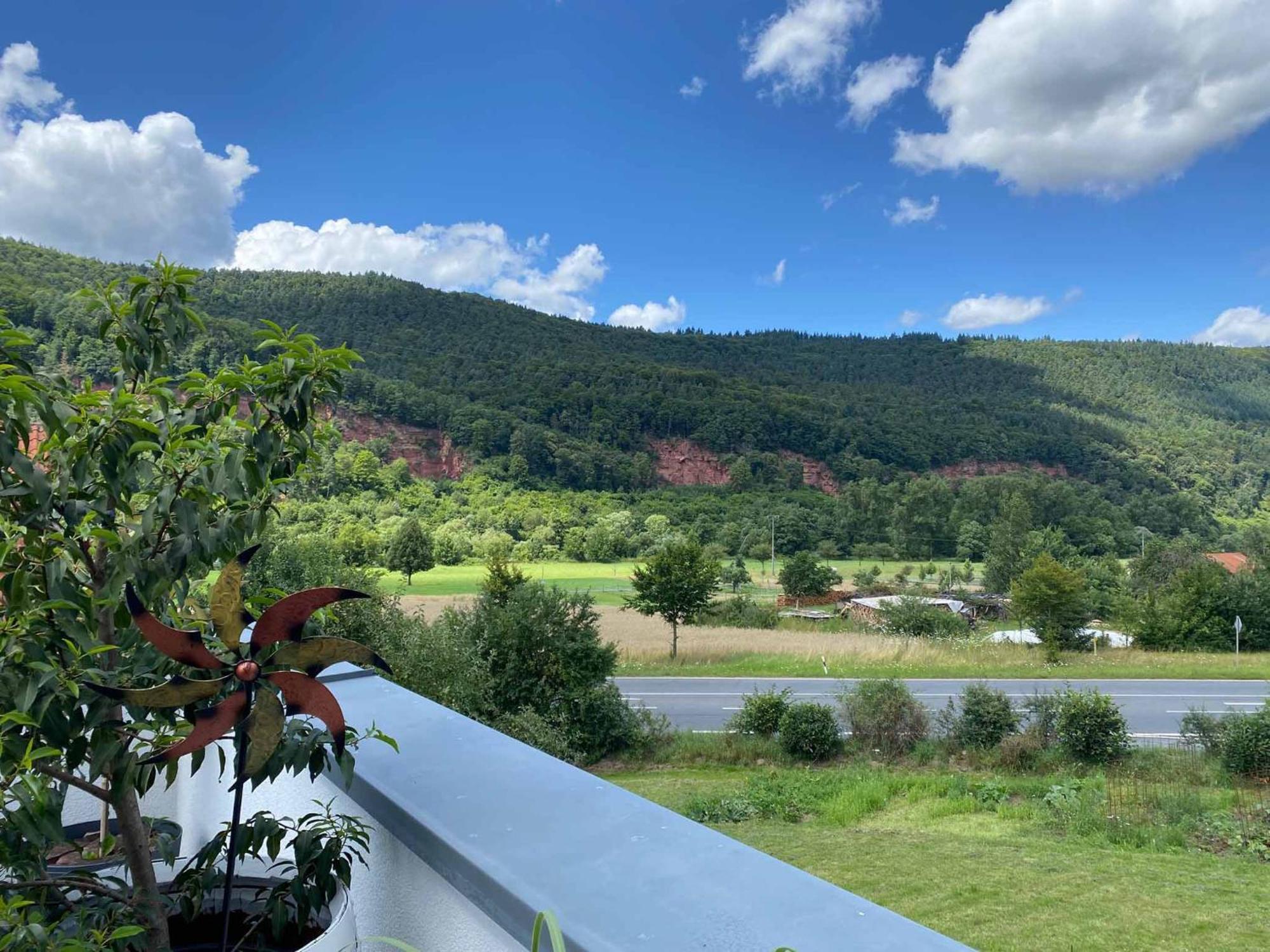 Ferienwohnung Weingut Sturm Buergstadt Buitenkant foto
